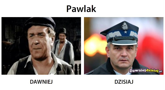Pawlak –  