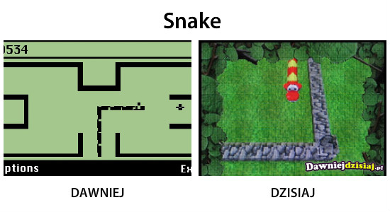 Snake –  
