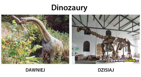 Dinozaury –  
