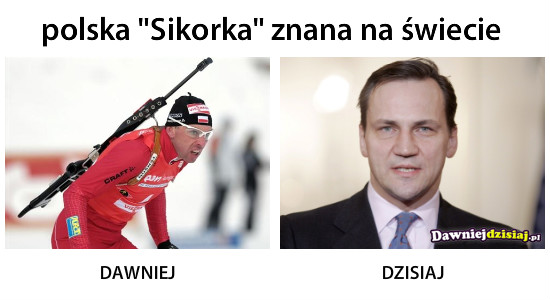Polska "Sikorka" znana na świecie –  