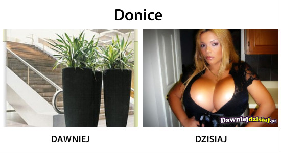 Donice –  