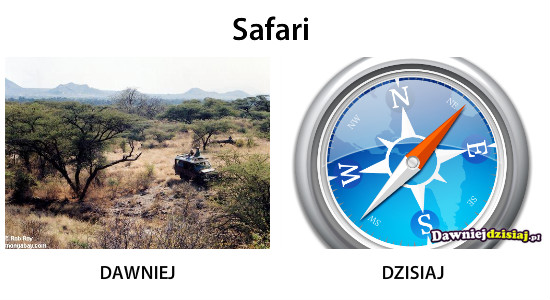 Safari –  