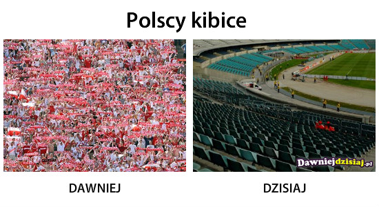 Polscy kibice –  