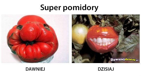 Super pomidory –  