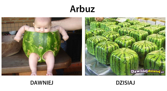 Arbuz –  