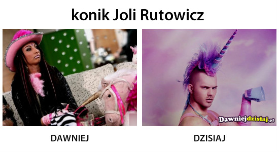 Konik Joli Rutowicz –  