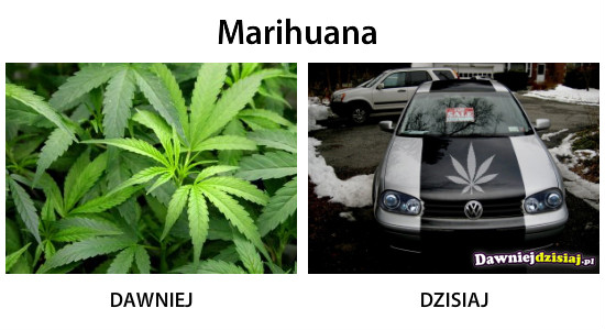 Marihuana –  