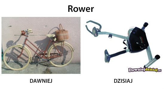 Rower –  