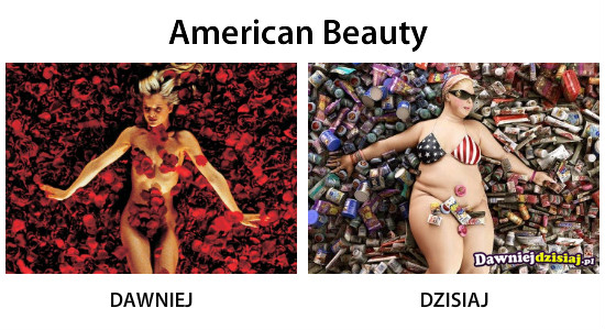 American Beauty –  
