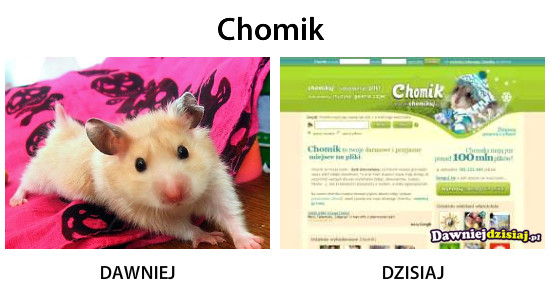 Chomik –  