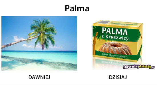 Palma –  