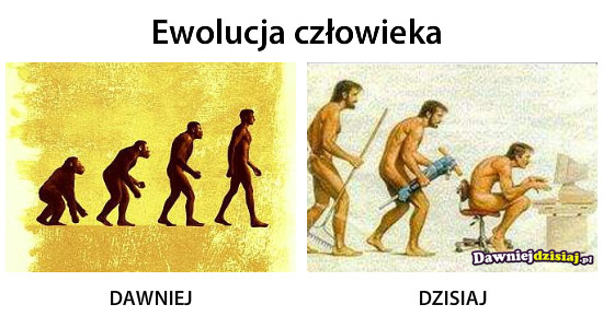 Ewolucja człowieka –  