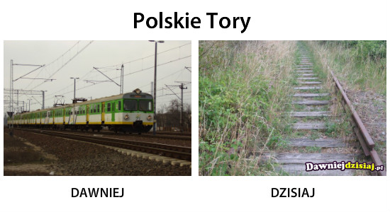 Polskie Tory –  