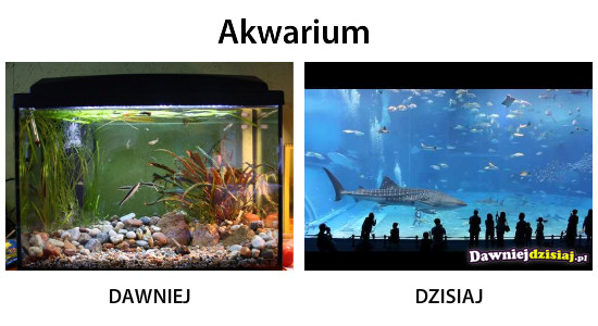 Akwarium –  