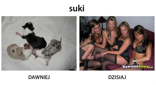 Suki –  