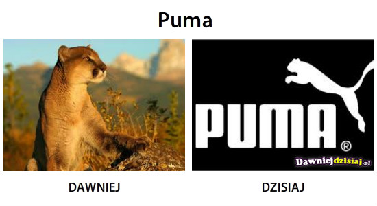 Puma –  