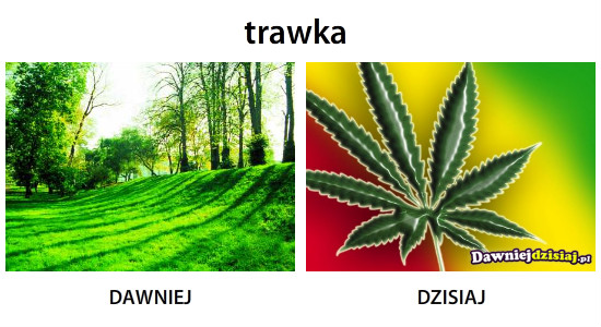 Trawka –  