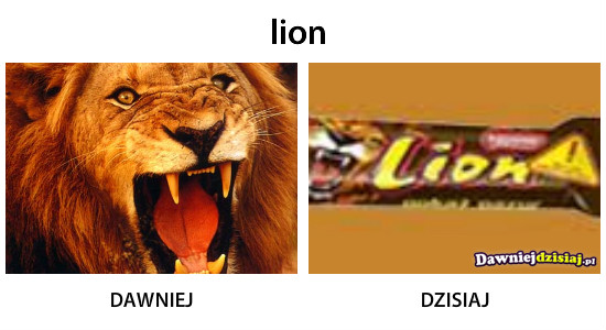 Lion –  