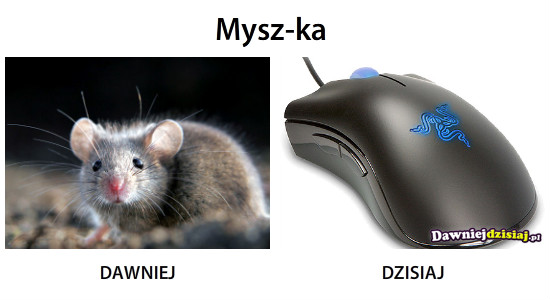 Mysz-ka –  
