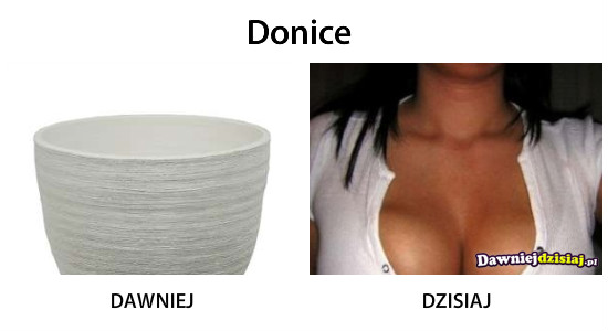 Donice –  