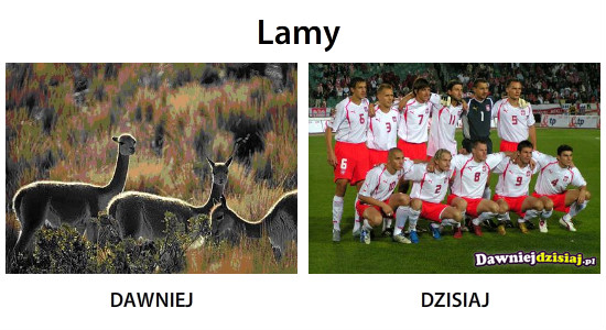 Lamy –  