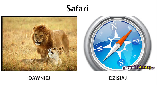 Safari –  
