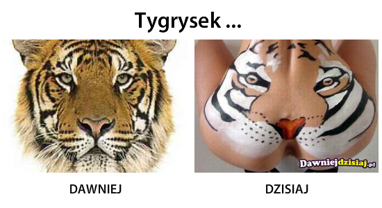 Tygrysek ... –  