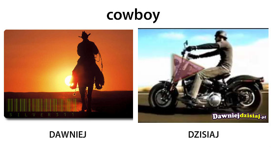 Cowboy –  