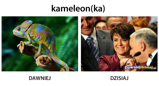 Kameleon(ka) –  