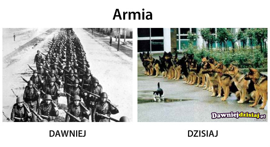 Armia –  