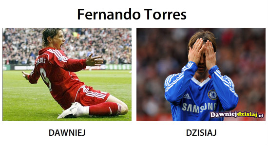 Fernando Torres –  