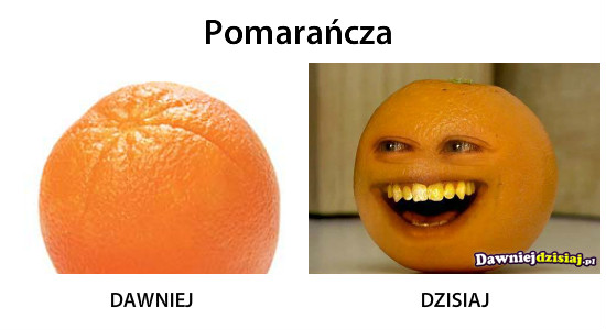 Pomarańcza –  