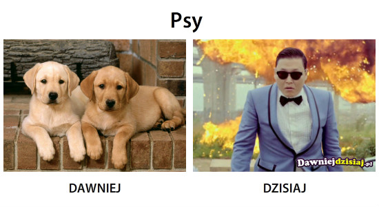 Psy –  