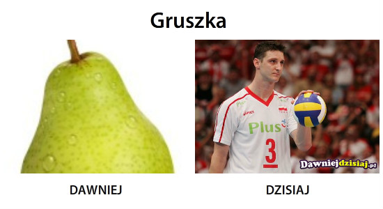 Gruszka –  