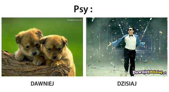 Psy : –  