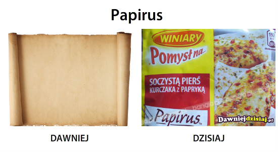Papirus –  