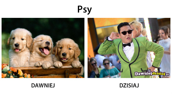 Psy –  