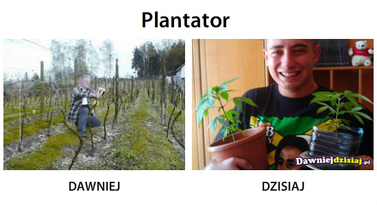 Plantator –  