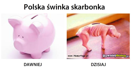 Polska świnka skarbonka –  