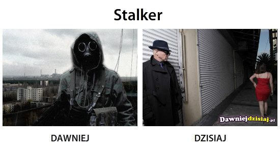 Stalker –  