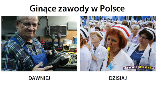 Ginące zawody w Polsce –  